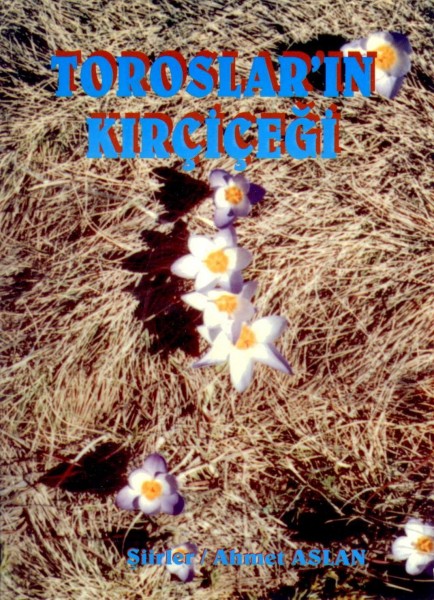 Toroslarin Kircicegi