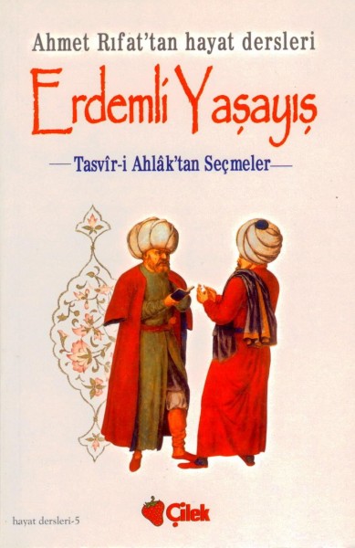 Erdemli Yasayis