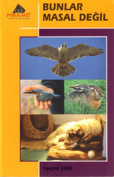 Bunlar Masal Degil