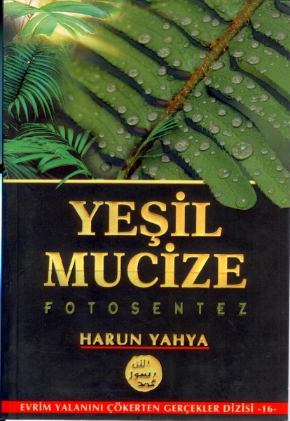 Yesil Mucize Fotosentez